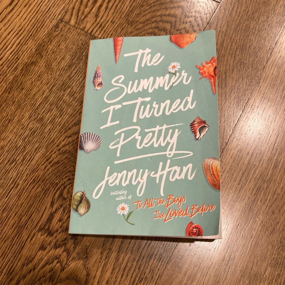 The summer I turned pretty book